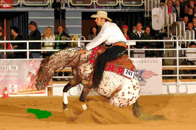  Equitación occidental 